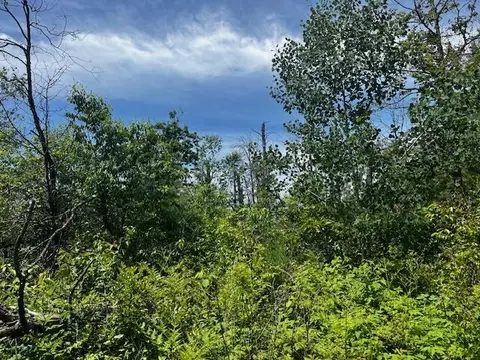 Parcel 2 Nelson Road, Idlewild, MI 49642
