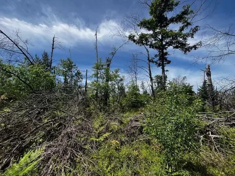 Parcel 3 Nelson Road, Idlewild, MI 49642