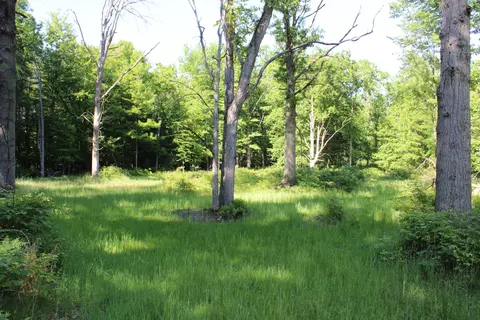 575 S Orr Rd, Hemlock, MI 48626 photo 41