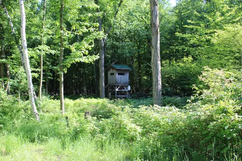 575 S Orr Rd, Hemlock, MI 48626 photo 42