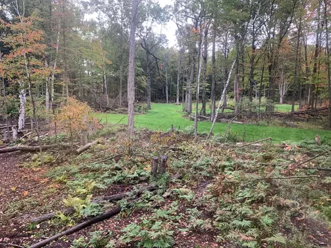 575 S Orr Rd, Hemlock, MI 48626 photo 49