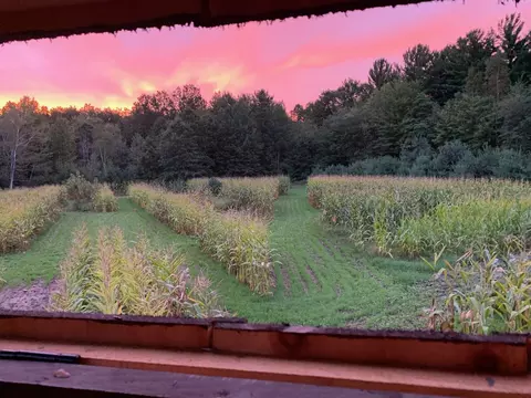575 S Orr Rd, Hemlock, MI 48626 photo 39