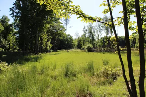 575 S Orr Rd, Hemlock, MI 48626 photo 46