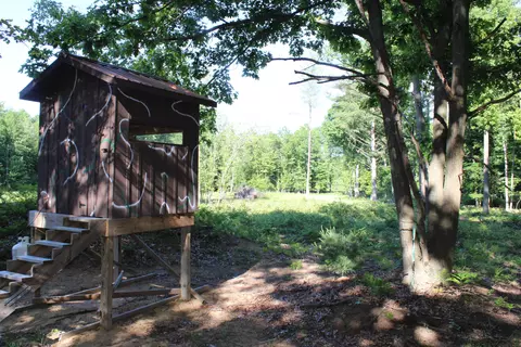 575 S Orr Rd, Hemlock, MI 48626 photo 47