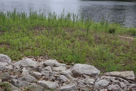 3622 Pinelands Rd, Gladwin, MI 48624 photo 3