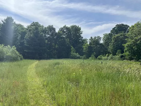 4955 N Grow, Stanton, MI 48888 photo 6