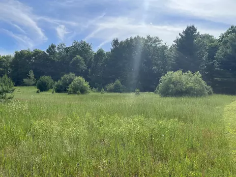 4955 N Grow, Stanton, MI 48888 photo 5