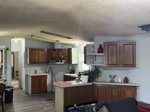 4955 N Grow, Stanton, MI 48888 photo 7