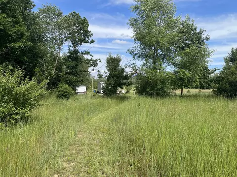4955 N Grow, Stanton, MI 48888 photo 4