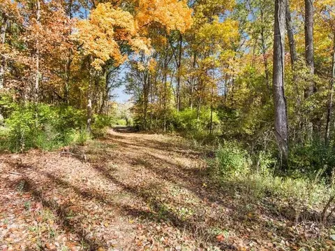 0 S Dearing Rd, Parma, MI 49269 photo 8
