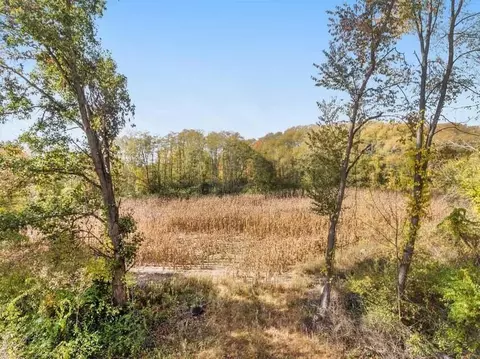 0 S Dearing Rd, Parma, MI 49269 photo 6