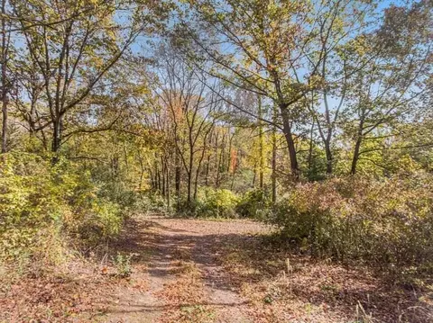 0 S Dearing Rd, Parma, MI 49269 photo 5