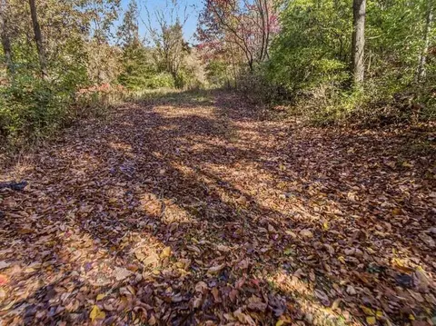 0 S Dearing Rd, Parma, MI 49269 photo 9