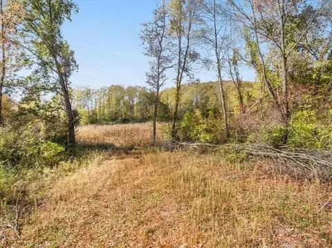 0 S Dearing Rd, Parma, MI 49269 photo 2