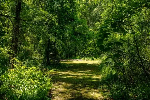 1711 Baker Rd, Dexter, MI 48130 photo 35