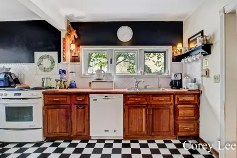 108 Mill St, Saranac, MI 48881 photo 13