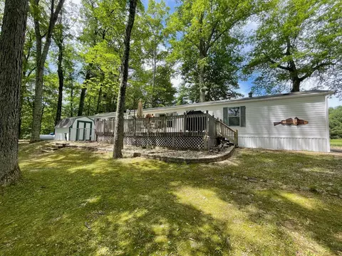 4692 N Meadow Ln, Irons, MI 49644