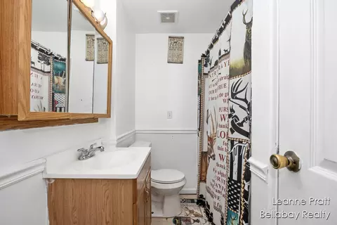 322 10th Ave, Three Rivers, MI 49093 photo 13