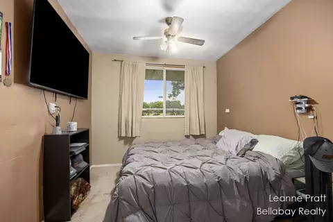 322 10th Ave, Three Rivers, MI 49093 photo 10