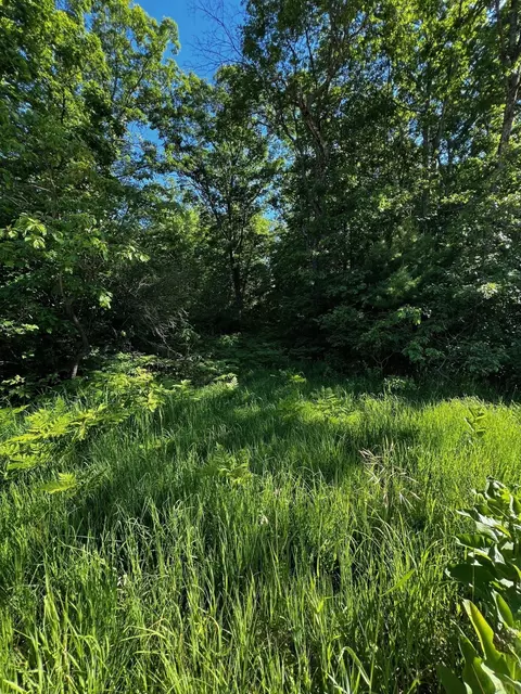 0 Skeels Rd, Rothbury, MI 49452