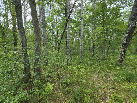 Irons Road, Irons, MI 49644 photo 7