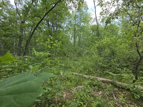 Irons Road, Irons, MI 49644 photo 9