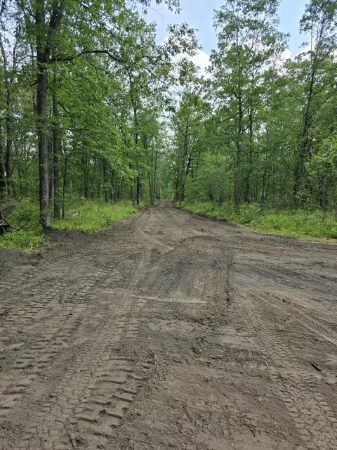 Irons Road, Irons, MI 49644 photo 3