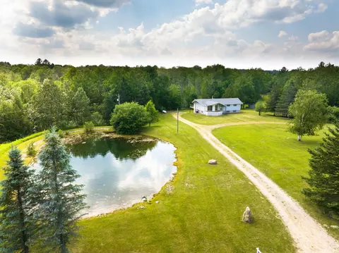 3183 Townline Rd, Rose City, MI 48654