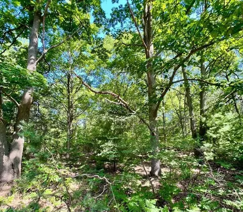 V/l Stanton Street, West Olive, MI 49460