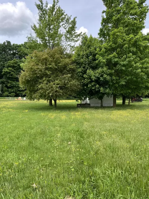 2979 E Prosper Rd, Mcbain, MI 49657 photo 3