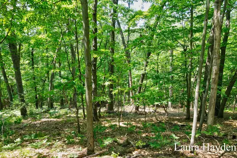 5708 Vising Dr, Lowell, MI 49331 photo 51