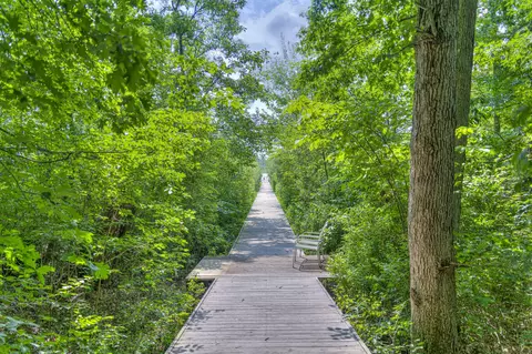 7183 Sanctuary Dr, Jackson, MI 49201 photo 10