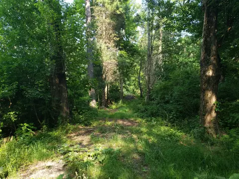 V/l 152nd Avenue, West Olive, MI 49460