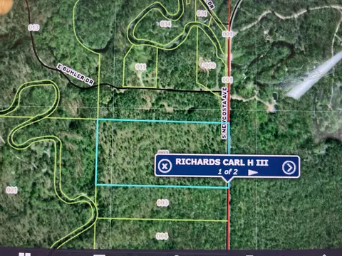 V/l Newcosta Avenue, Howard City, MI 49329