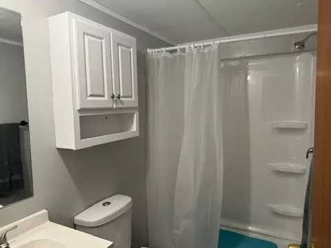 1771 Beaver Rd, Bitely, MI 49309 photo 8