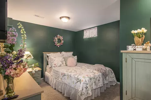 804 E Barrington Cir, Jackson, MI 49203 photo 20