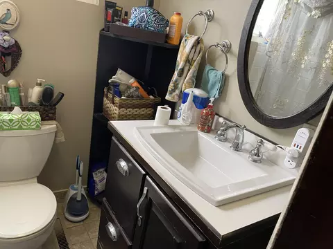 365 Locust St, Constantine, MI 49042 photo 23