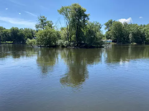 365 Locust St, Constantine, MI 49042 photo 46