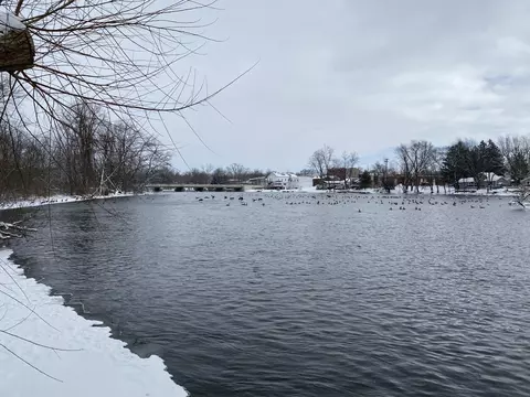 365 Locust St, Constantine, MI 49042 photo 55