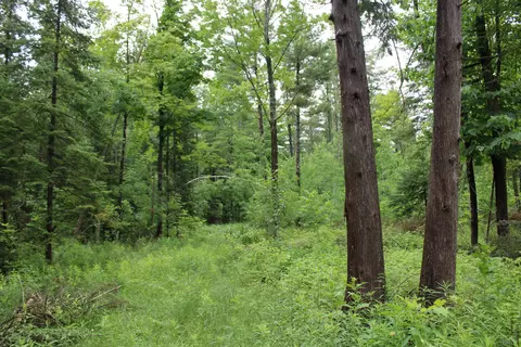 0 Vl Napper Rd, Herron, MI 49744 photo 14