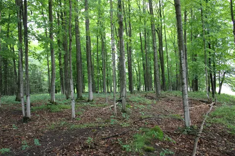 0 Vl Napper Rd, Herron, MI 49744 photo 19