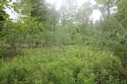 0 Vl Napper Rd, Herron, MI 49744 photo 23