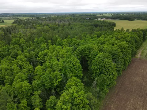 0 Vl Napper Rd, Herron, MI 49744 photo 11
