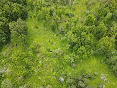 0 Vl Napper Rd, Herron, MI 49744 photo 8