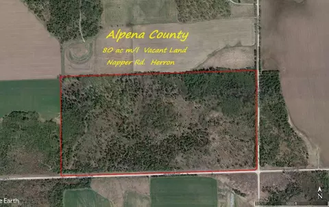 0 Vl Napper Rd, Herron, MI 49744 photo 2