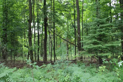 0 Vl Napper Rd, Herron, MI 49744 photo 15
