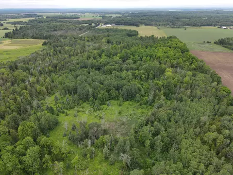 0 Vl Napper Rd, Herron, MI 49744 photo 9