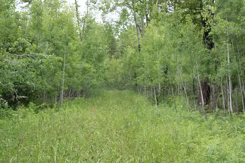 0 Vl Napper Rd, Herron, MI 49744 photo 13