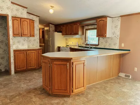 532 S 2nd St, Edmore, MI 48829 photo 5