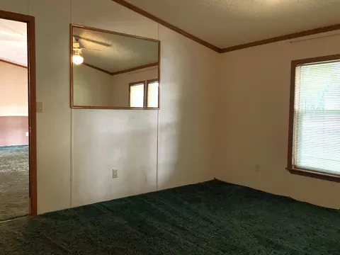 532 S 2nd St, Edmore, MI 48829 photo 11